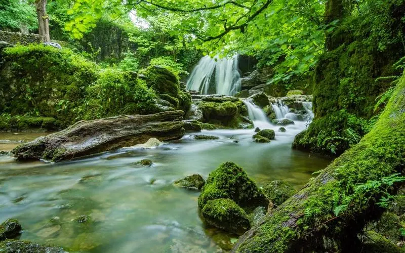 高质量智慧信息化
